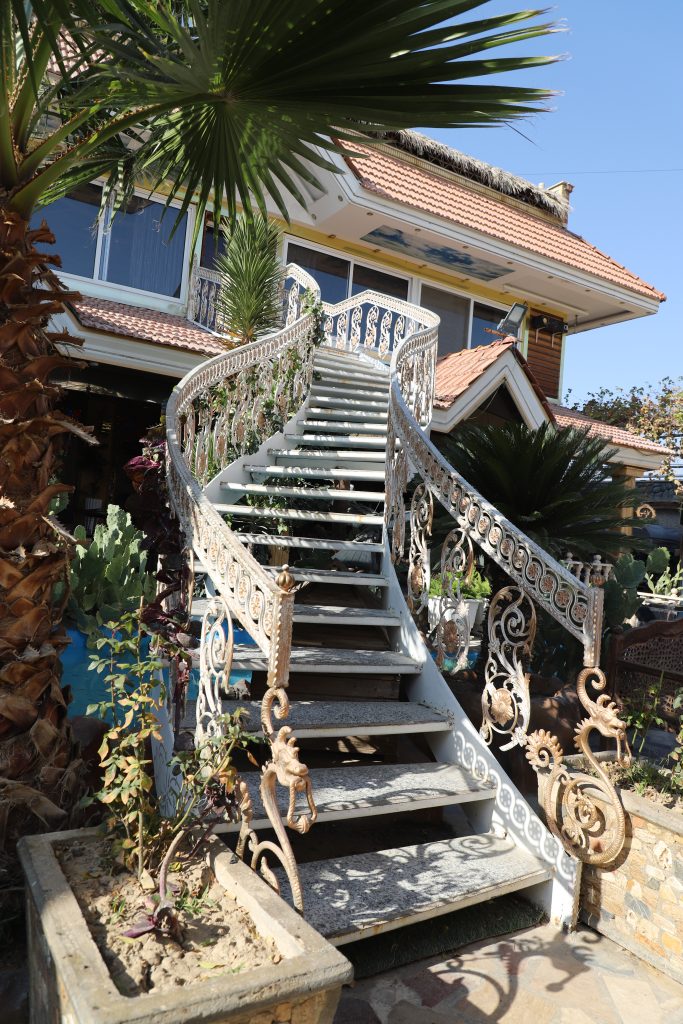 IMG_9786 IMG 9786 683x1024